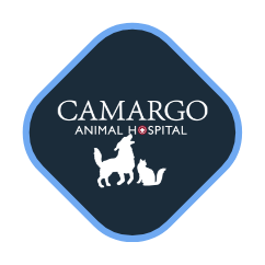 Camargo Animal Hospital - Website Logo